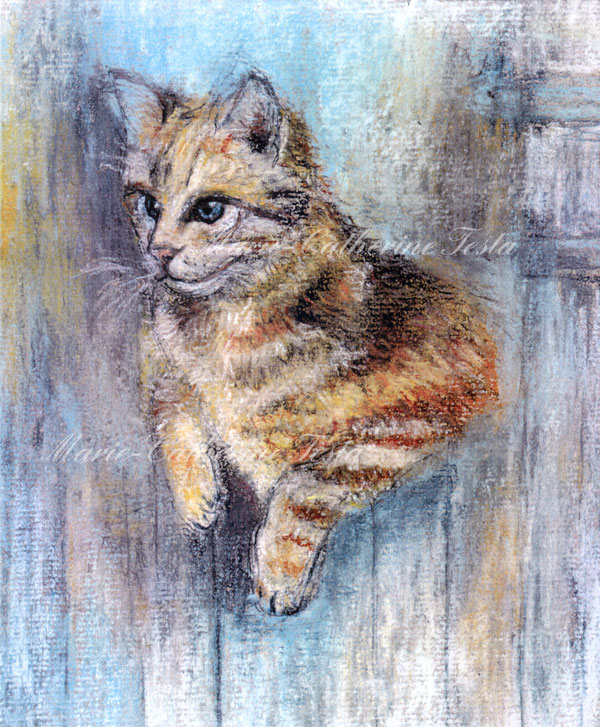 Chat - Pastel - Marie-Catherine Testa